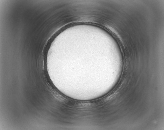 X0000074330925200609230048