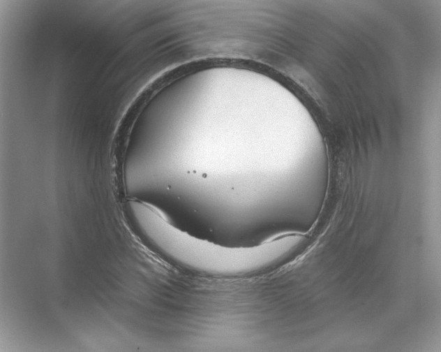 X0000074330926200609230048