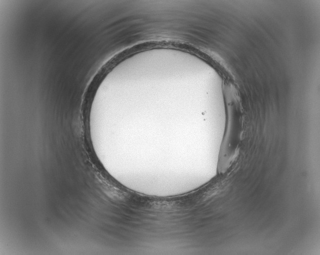 X0000074330927200609230048