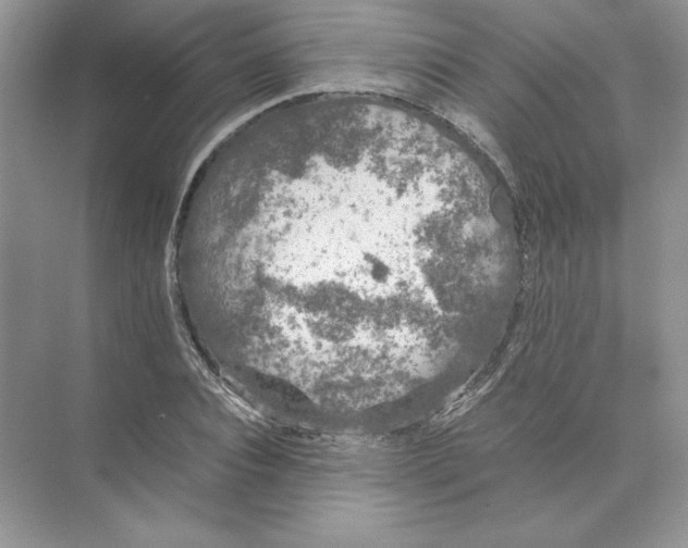 X0000074330928200609230048