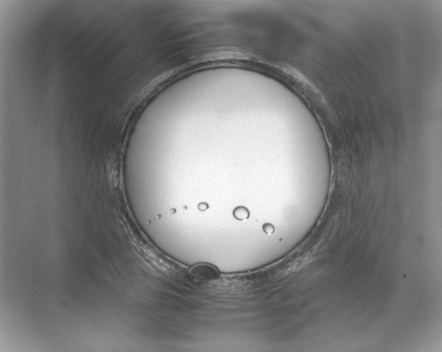 X0000074330929200609230048