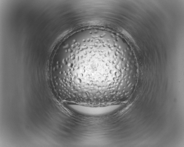 X0000074330930200609230048