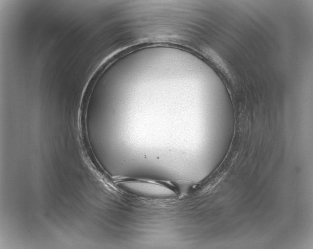 X0000074330932200609230048