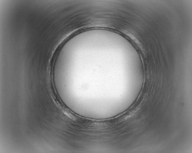 X0000074330933200609230048