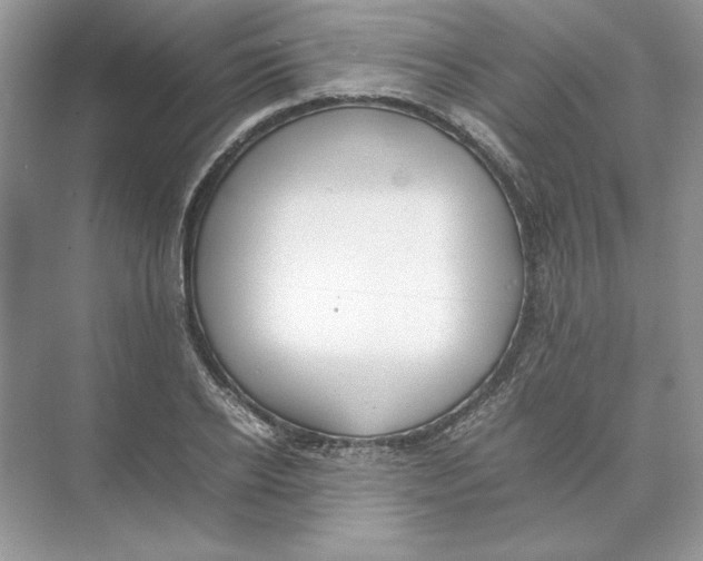 X0000074330934200609230048