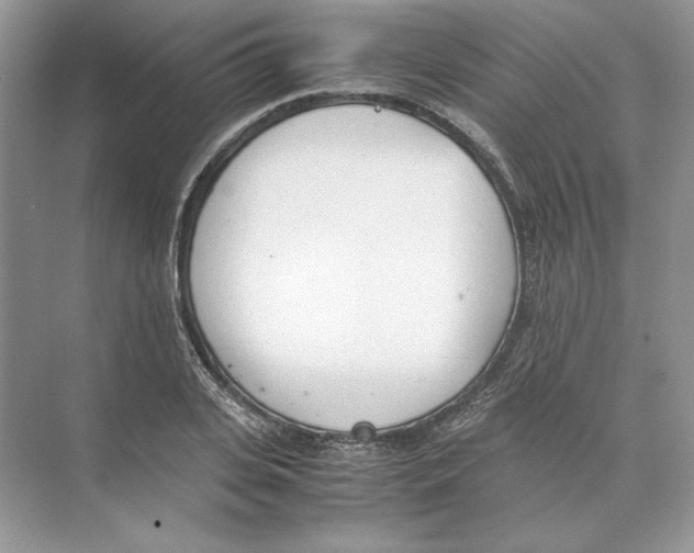 X0000074330935200609230048