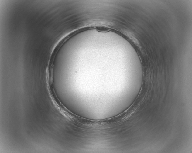 X0000074330936200609230048