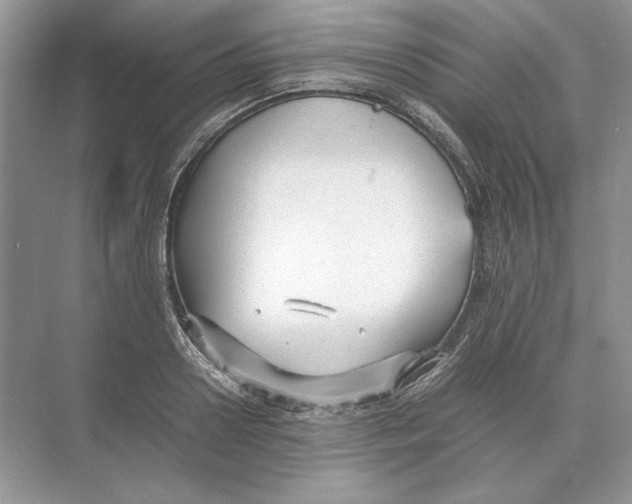 X0000074330938200609230048