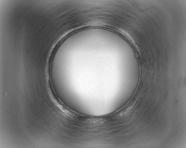 X0000074330939200609230049