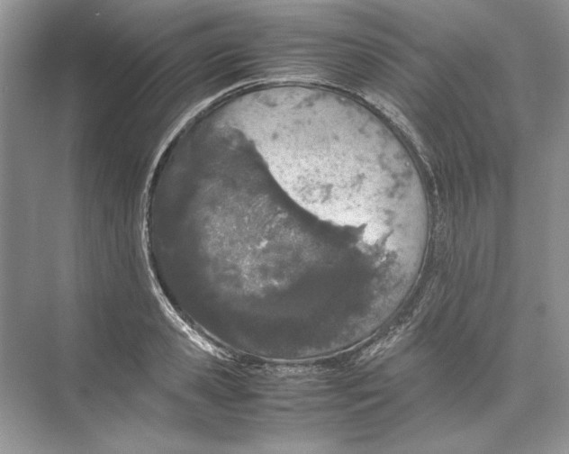 X0000074330941200609230049