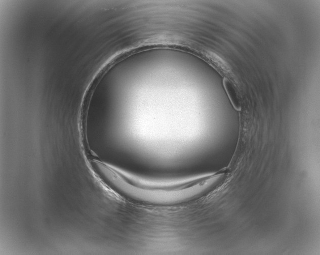 X0000074330942200609230049