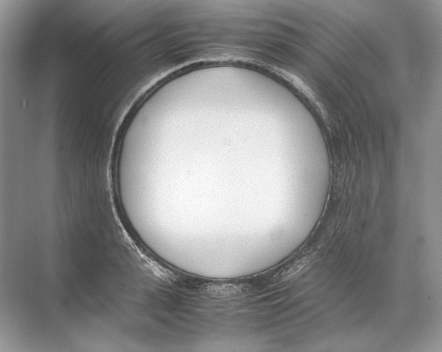 X0000074330943200609230049