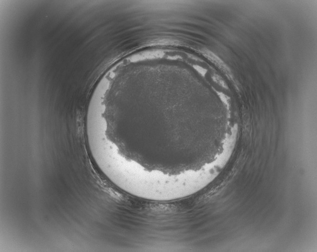 X0000074330945200609230049