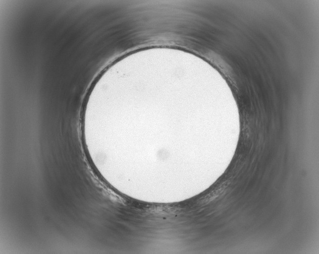 X0000074330950200609230049