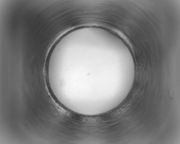 X0000074330951200609230049