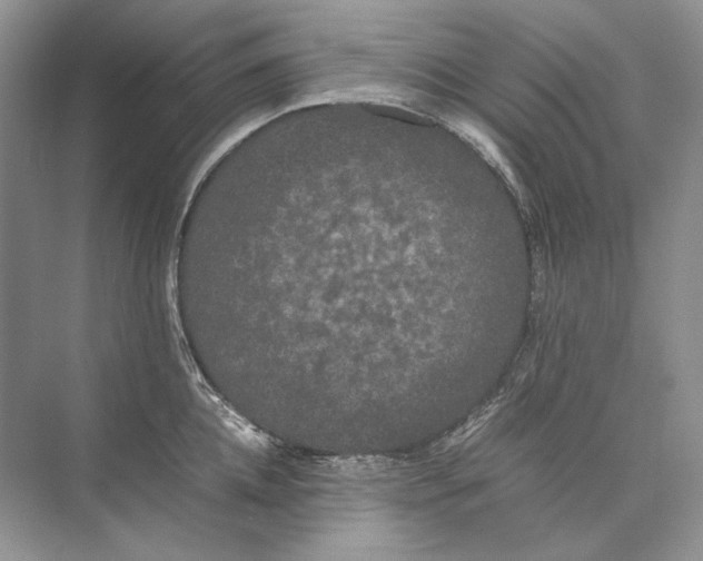 X0000074330952200609230049