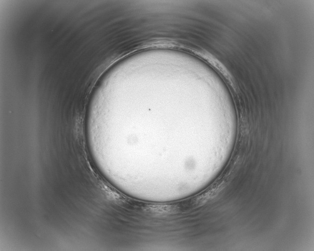 X0000074330953200609230049