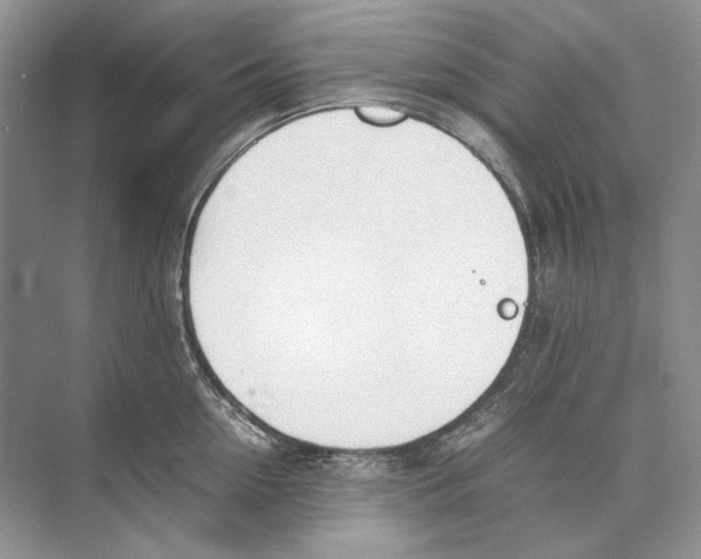 X0000074330954200609230049