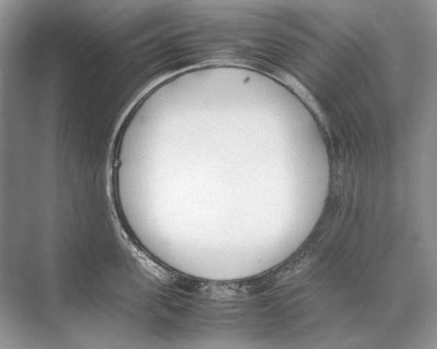 X0000074330955200609230049