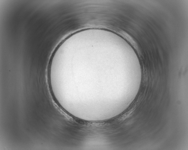 X0000074330958200609230049