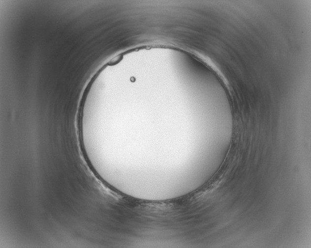 X0000074330959200609230049