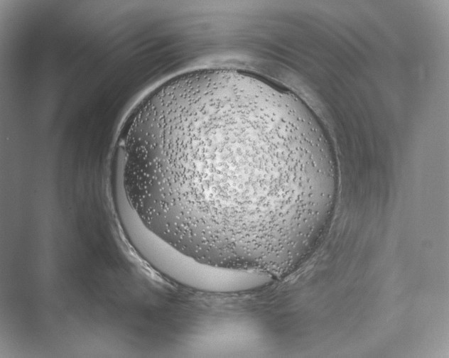 X0000074330960200609230049