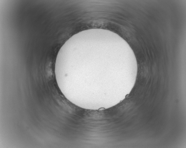 X0000074330962200609230048