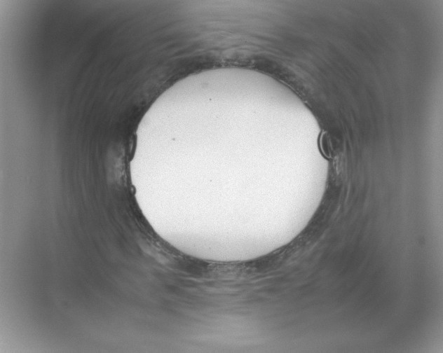 X0000074330963200609230048