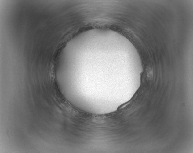 X0000074330964200609230048