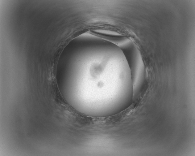 X0000074330965200609230048