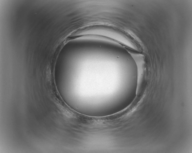 X0000074330969200609230048