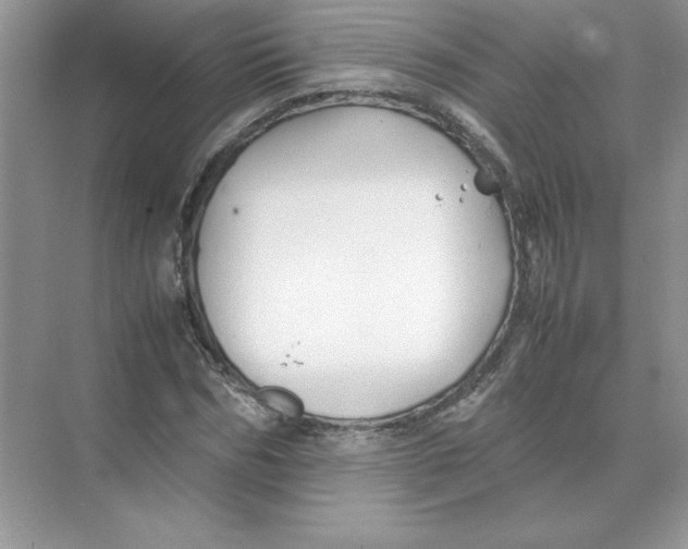 X0000074330970200609230048