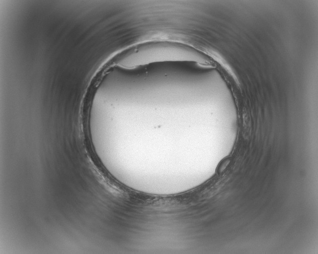 X0000074330972200609230048