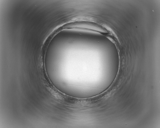 X0000074330973200609230048