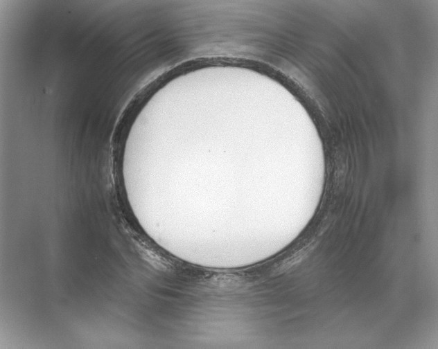 X0000074330974200609230048