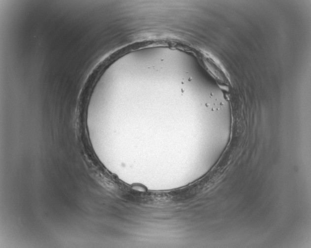 X0000074330975200609230048