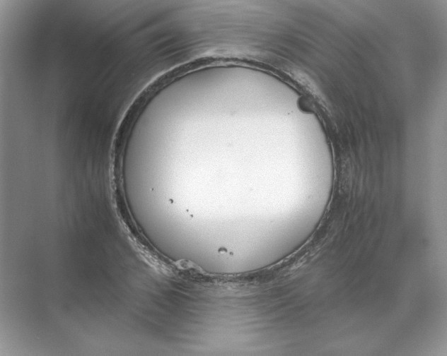 X0000074330976200609230048