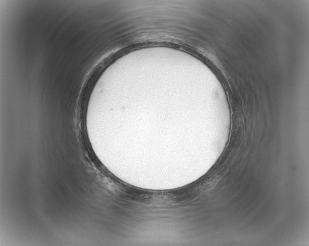 X0000074330979200609230048