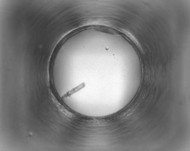 X0000074330980200609230048