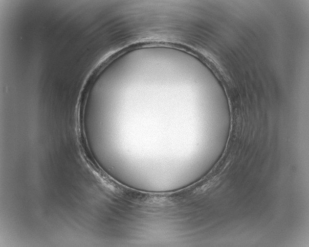 X0000074330982200609230048