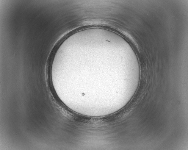 X0000074330983200609230048