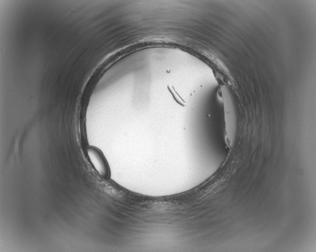 X0000074330984200609230048