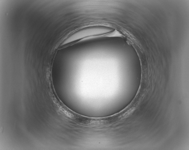 X0000074330985200609230048