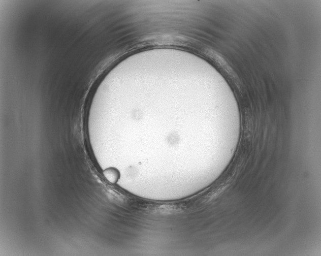 X0000074330986200609230048