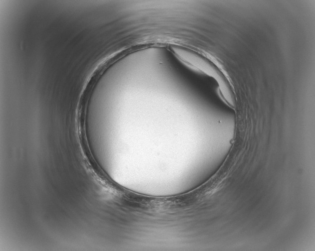 X0000074330987200609230048