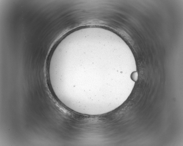 X0000074330990200609230048