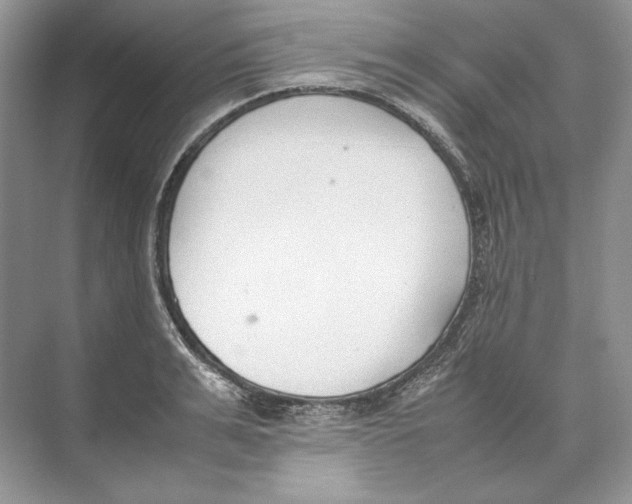 X0000074330991200609230048