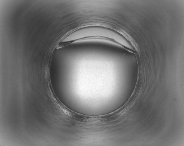 X0000074330993200609230048