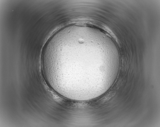 X0000074330994200609230048