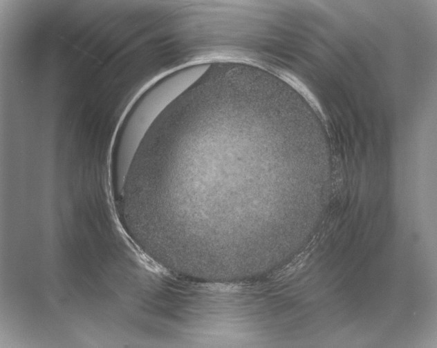 X0000074330996200609230047